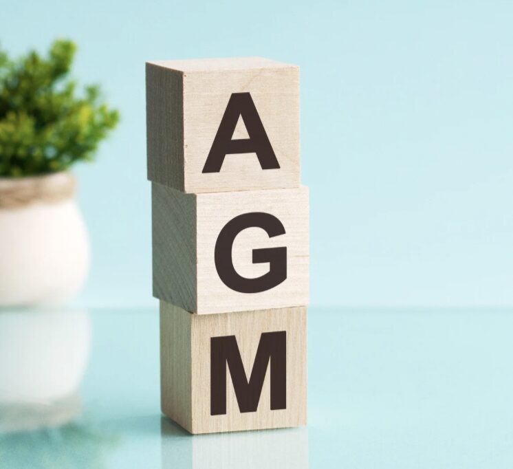 AGM Wooden Blocks